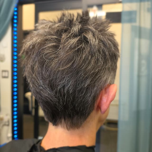 Ladies Haircut 12 Pack at Wild Hair Cher in Loveland, CO