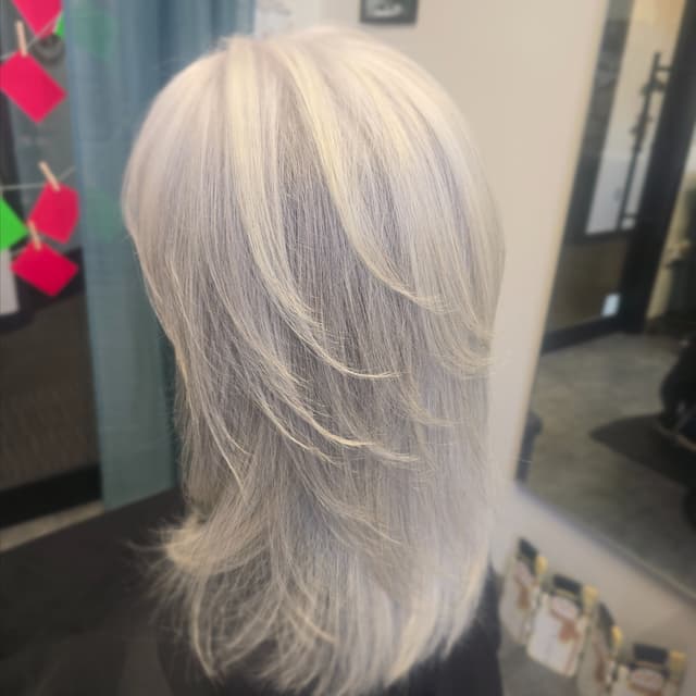 Ladies Haircut 8 Pack at Wild Hair Cher in Loveland, CO